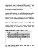 Referāts 'Internets kā politiskās komunikācijas līdzeklis Latvijā un ASV', 34.