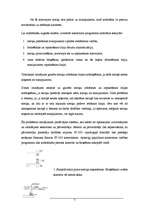 Referāts 'A/s "Rīgas Piensaimnieks" mārketinga analīze', 7.