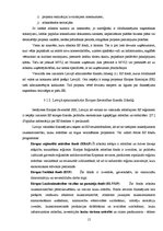 Referāts 'Tūrisma un viesmīlības uzņēmumu finansēšanas iespējas Latvijā', 15.