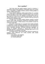 Eseja 'Kas ir politika?', 1.