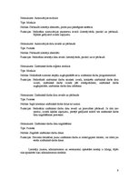 Referāts 'Izdevniecības firma "Gamma". Programmatūras projektējuma apraksts', 9.