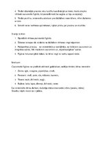 Prezentācija 'Bērna izglītības saturs pirmsskolā: mājturības metodika', 2.