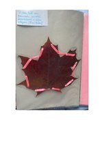 Prezentācija 'Bērna izglītības saturs pirmsskolā: mājturības metodika', 3.