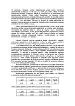 Referāts 'Latvijas lidostām kopā būs vieglāk', 10.