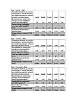 Referāts 'Latvijas lidostām kopā būs vieglāk', 13.