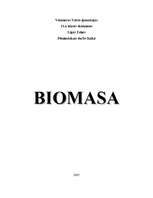 Referāts 'Biomasa', 1.