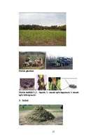 Referāts 'Biomasa', 22.