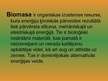 Referāts 'Biomasa', 25.