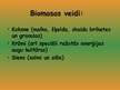Referāts 'Biomasa', 27.