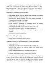 Konspekts 'Bērnu emocionālās attieksmes veidošana tēlotājdarbībā', 13.