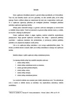 Referāts 'Uzņēmuma mērķu noteikšana', 1.