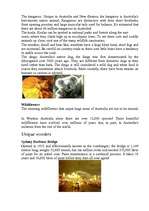 Konspekts 'Australia', 4.