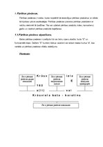 Prakses atskaite 'Pārtikas piedevas uzturā', 5.