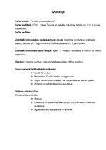 Prakses atskaite 'Pārtikas piedevas uzturā', 18.