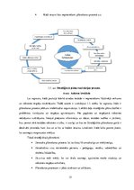 Diplomdarbs 'Stratēģiskās attīstības virzieni Ogres tehnikumā', 15.