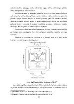 Diplomdarbs 'Stratēģiskās attīstības virzieni Ogres tehnikumā', 30.