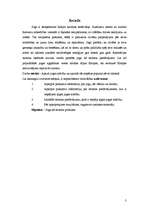 Referāts 'Joga kā ceļojuma galamērķis', 3.