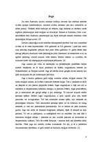 Referāts 'Joga kā ceļojuma galamērķis', 4.