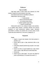 Referāts 'Joga kā ceļojuma galamērķis', 31.