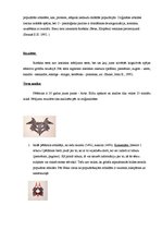 Referāts 'Roršaha tests', 4.
