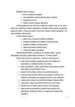 Referāts 'Trīs zvaigžņu viesnīca "Aramis"', 7.