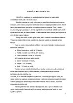 Referāts 'Trīs zvaigžņu viesnīca "Aramis"', 17.