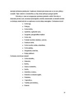 Referāts 'Trīs zvaigžņu viesnīca "Aramis"', 29.