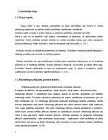 Referāts 'Pētījums par iepirkšanās paradumiem rotaļlietu veikalā', 7.