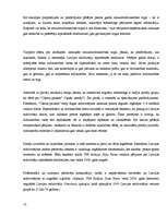 Referāts 'Pētījums par iepirkšanās paradumiem rotaļlietu veikalā', 12.