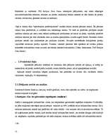 Referāts 'Pētījums par iepirkšanās paradumiem rotaļlietu veikalā', 13.