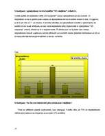 Referāts 'Pētījums par iepirkšanās paradumiem rotaļlietu veikalā', 19.