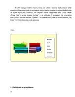 Referāts 'Pētījums par iepirkšanās paradumiem rotaļlietu veikalā', 21.