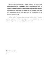 Referāts 'Pētījums par iepirkšanās paradumiem rotaļlietu veikalā', 24.