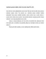 Referāts 'Pētījums par iepirkšanās paradumiem rotaļlietu veikalā', 26.