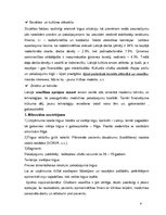 Prakses atskaite 'Rīgas Klīniskās slimnīcas "X" mārketinga audits', 4.