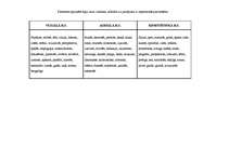 Konspekts 'Cilvēku tipi', 5.