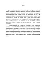 Referāts 'Ārpakalpojumi un to attīstības tendences Latvijā 21.gadsimtā', 3.