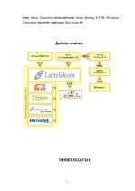 Referāts '"Lattelekom" mārketinga stratēģijas izpēte', 5.