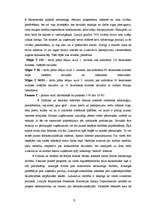 Referāts '"Lattelekom" mārketinga stratēģijas izpēte', 12.