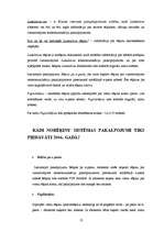 Referāts '"Lattelekom" mārketinga stratēģijas izpēte', 21.