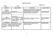 Prakses atskaite 'Aprūpes plāns ķirurģijā', 13.