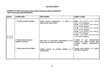 Prakses atskaite 'Aprūpes plāns ķirurģijā', 19.