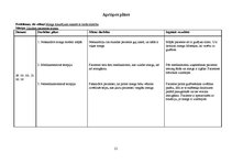 Prakses atskaite 'Aprūpes plāns ķirurģijā', 21.