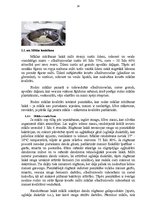 Referāts 'Ražošanas cikls un to ietekmējošie faktori. SIA "Dinella"', 24.