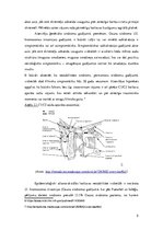 Referāts 'Atlanto-aksiālās locītavas nestabilitātes sindroma ģenētiskā predispozīcija un k', 5.