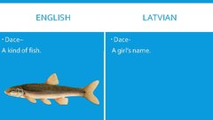 Prezentācija 'English-Latvian False Friends', 7.