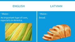 Prezentācija 'English-Latvian False Friends', 14.