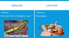 Prezentācija 'English-Latvian False Friends', 15.