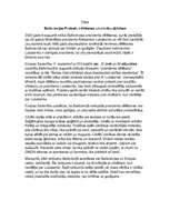 Eseja 'Baltkrievijas protesti, vēlēšanas un cilvēku dzīvības', 1.