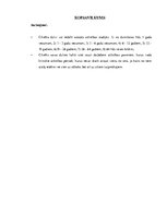 Referāts 'Krīzes dažādos attīstības vecuma posmos', 13.